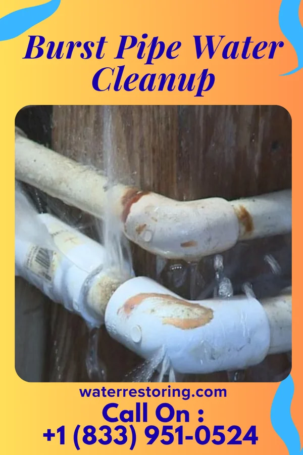 Burst Pipe Water Cleanup in McCoole, MD