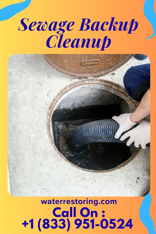 Sewage Backup Cleanup in McCoole, MD