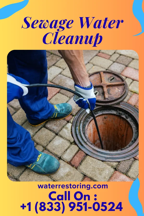 Sewage Water Cleanup in McCoole, MD