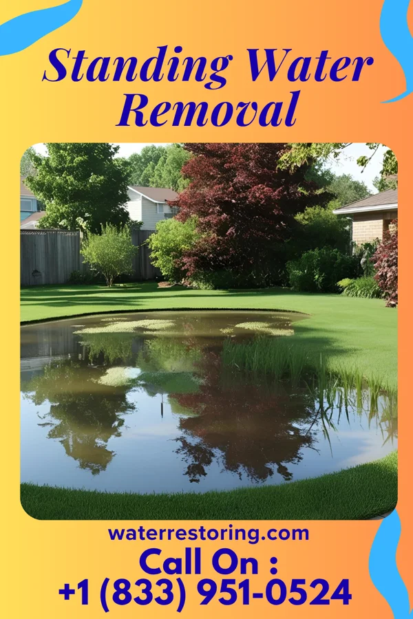 Standing Water Removal in McCoole, MD